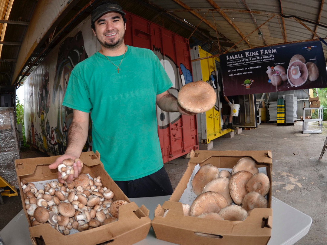 Small Kine Farm-威玛纳诺必去景点