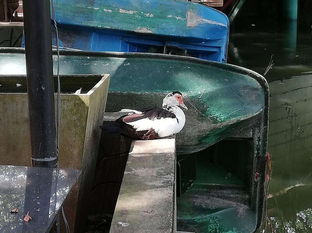 Wet Water Resort主图