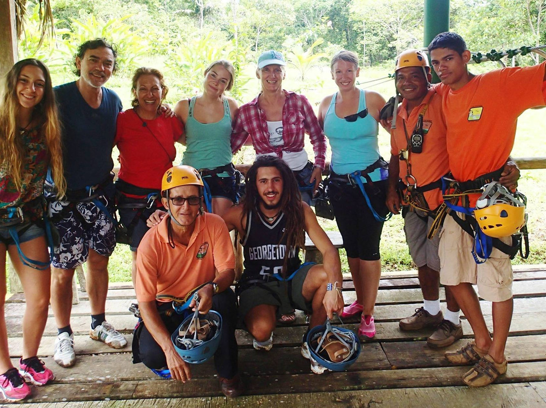 Corcovado Canopy Tour景点图片