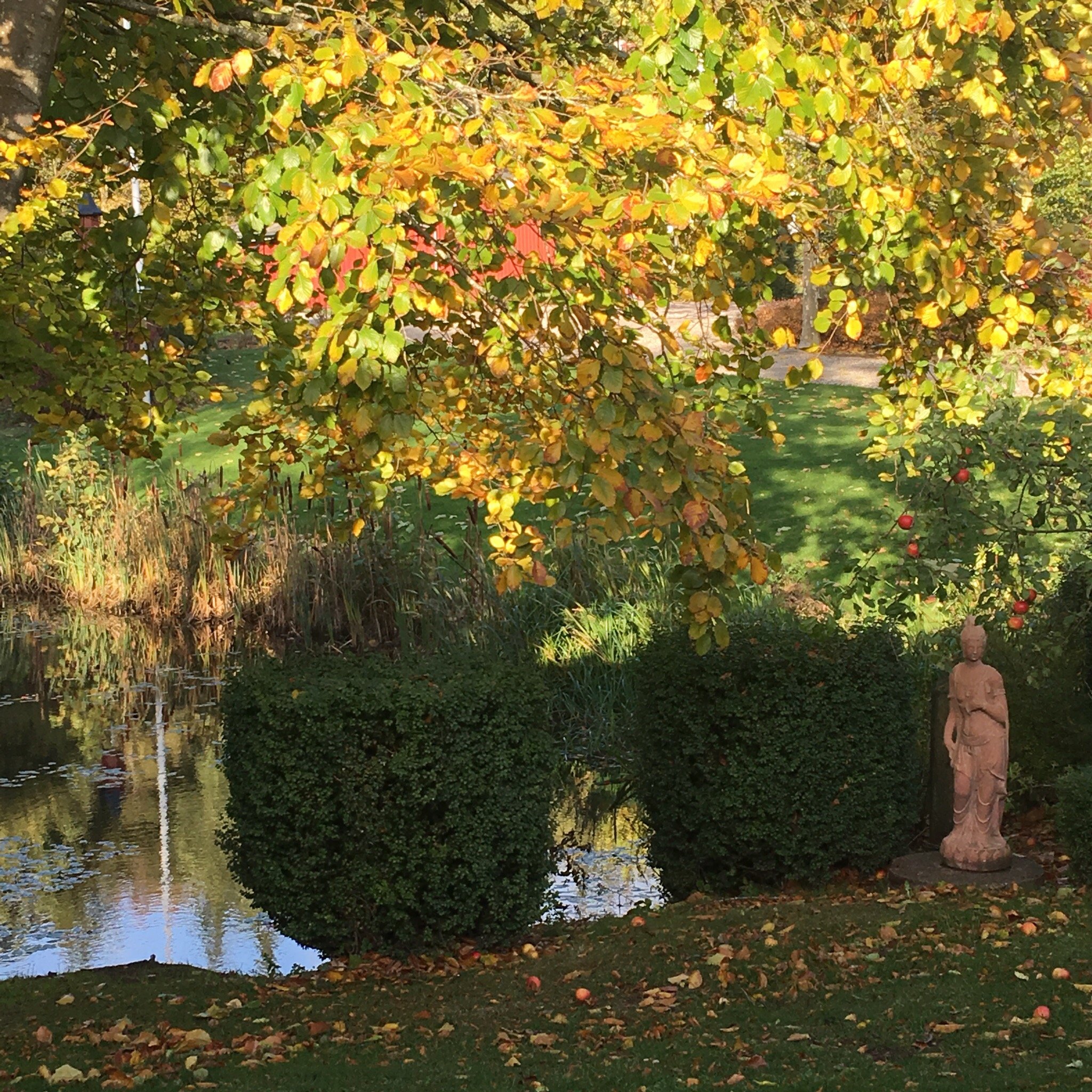 Fjelsted Skov Hotel & Konference-官方