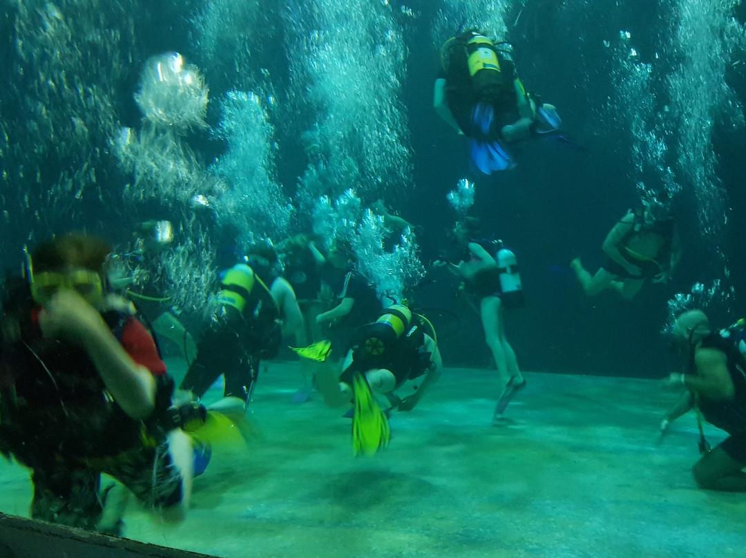 Orca Scuba Diving Academy景点图片