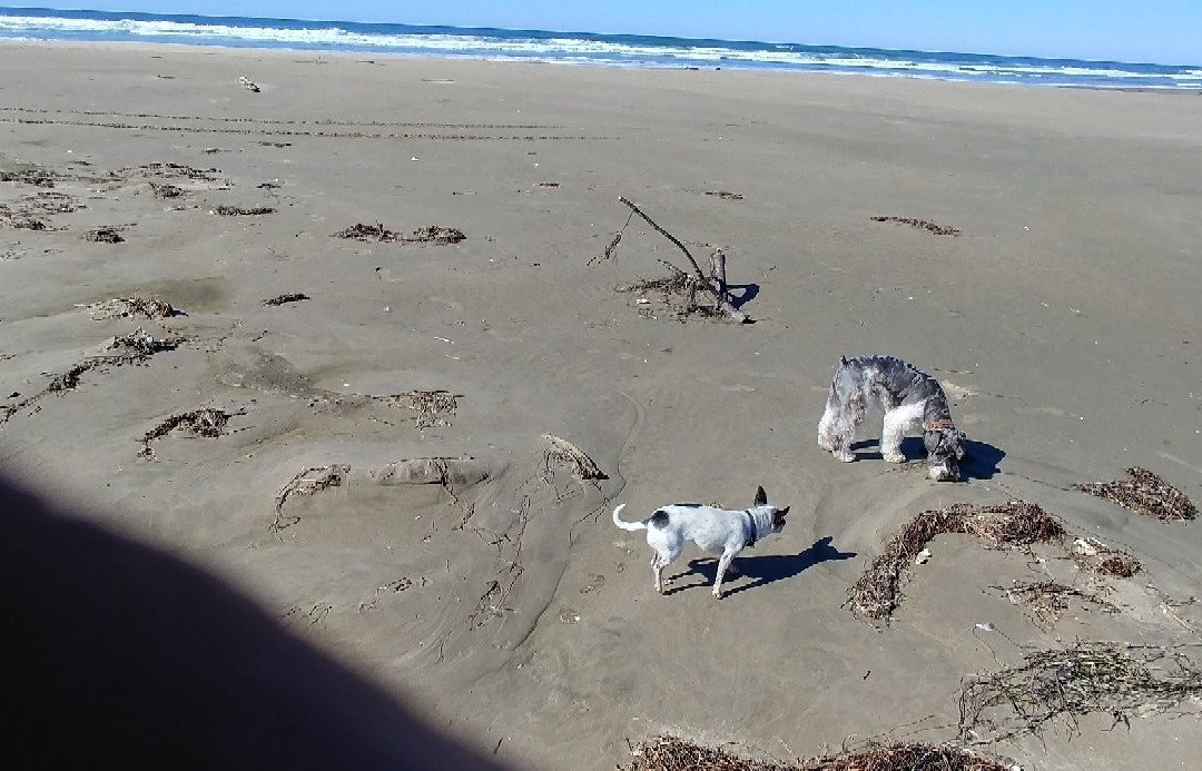 Yaquina Bay State Recreation Area-纽波特必去景点