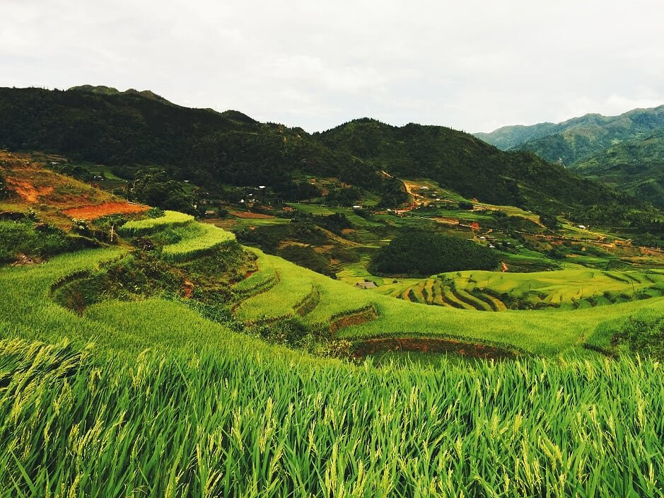 Sapa Tours Booking-河内必去景点