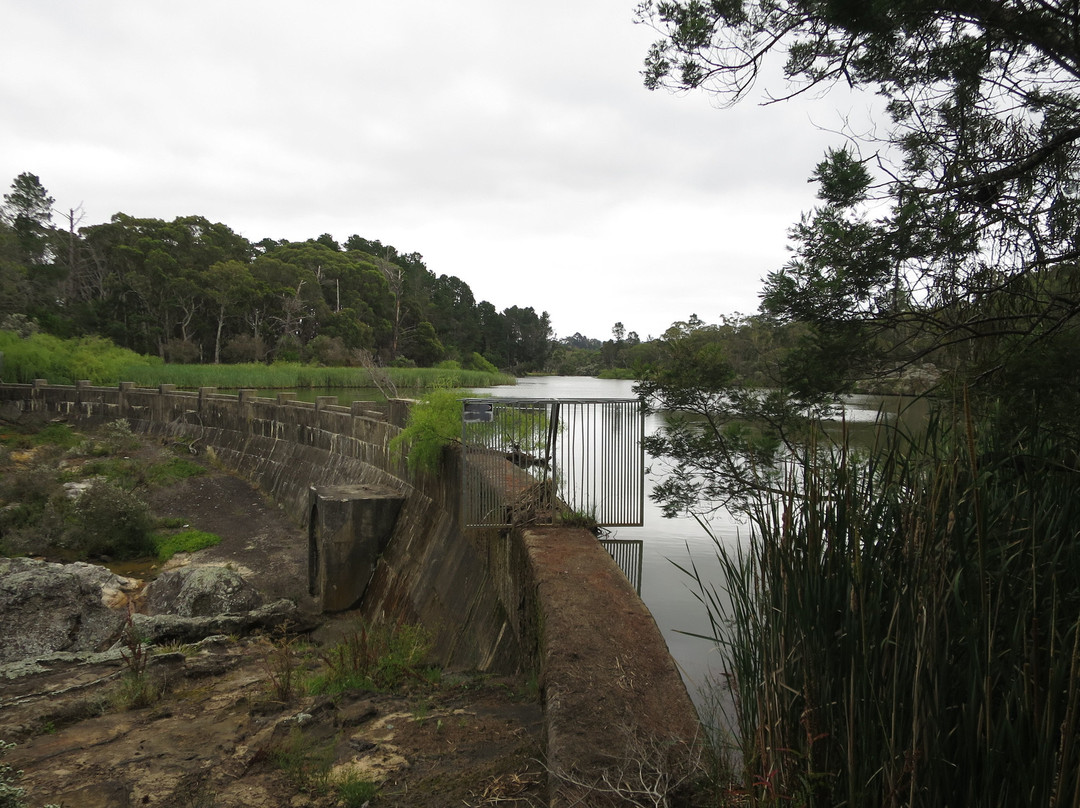 Box Vale Walking Track