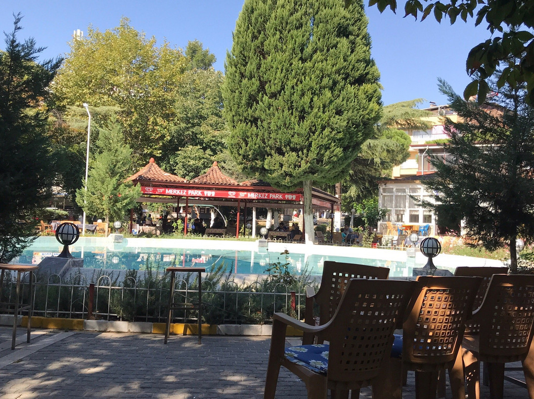 Atca Merkez Parki-艾登必去景点