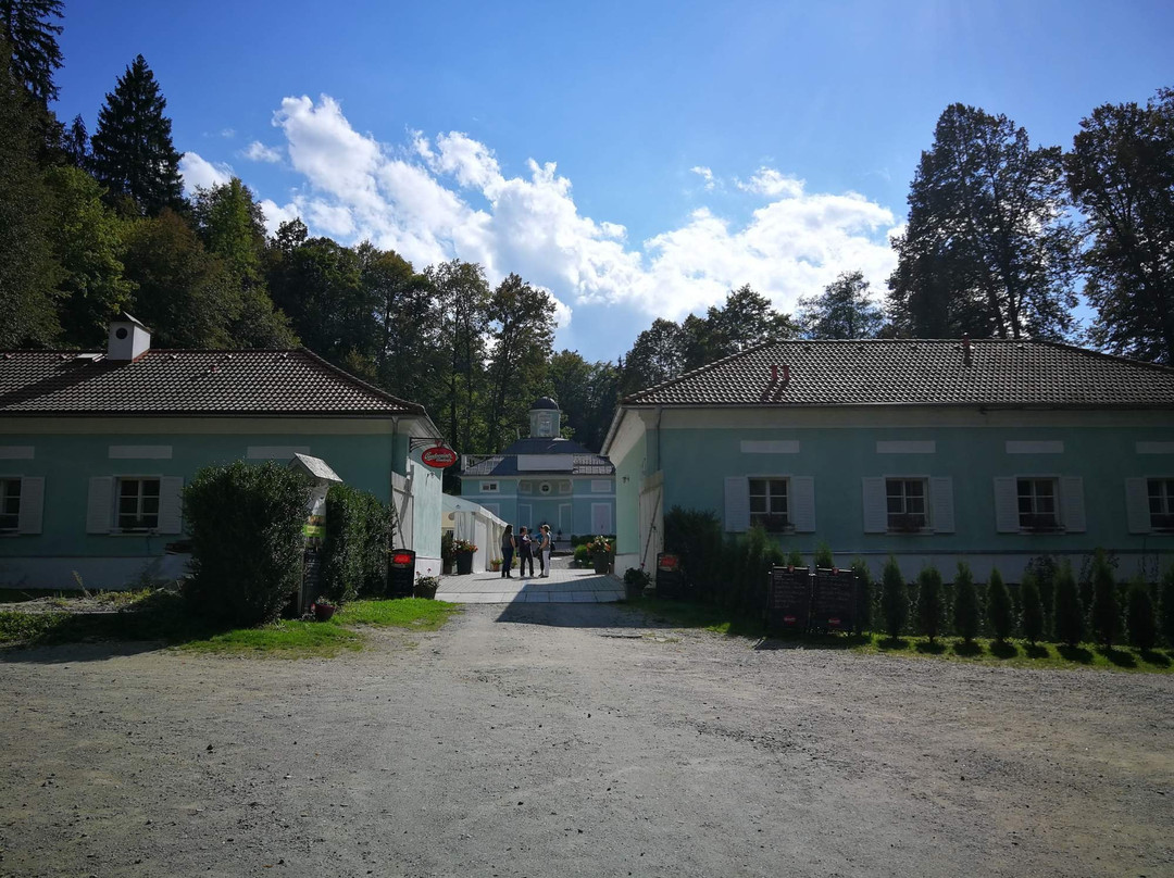 Wellness penzion Tereziiny Lázničky主图