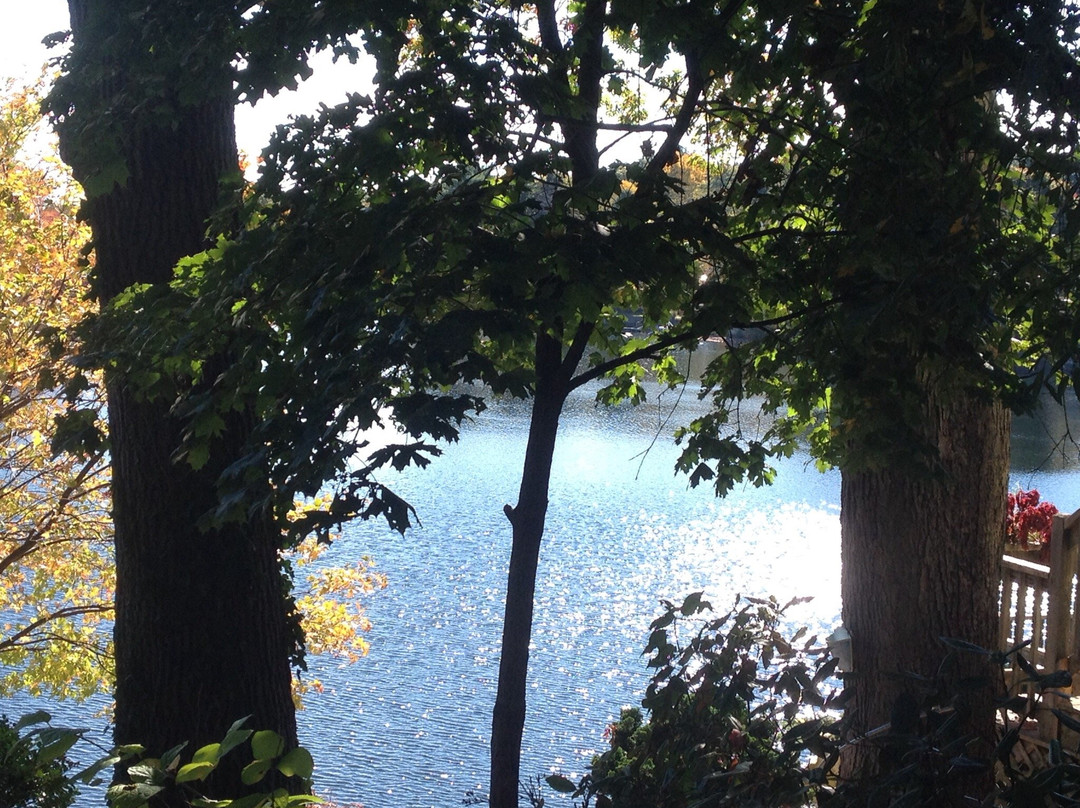 Sluice Pond-Lynn必去景点