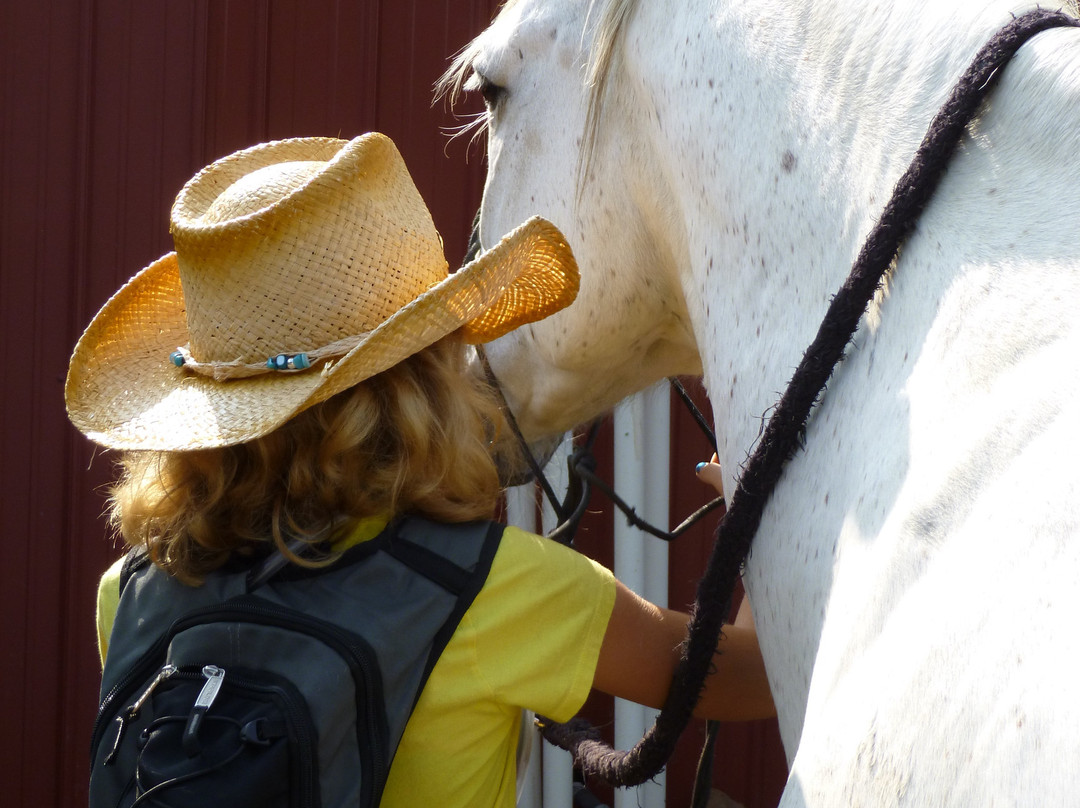 Black Mustang Ranch-Pilot Point必去景点