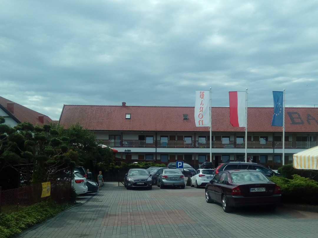 Pensjonat Baron主图