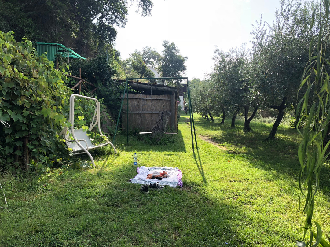 BBB Monte Ofelio主图