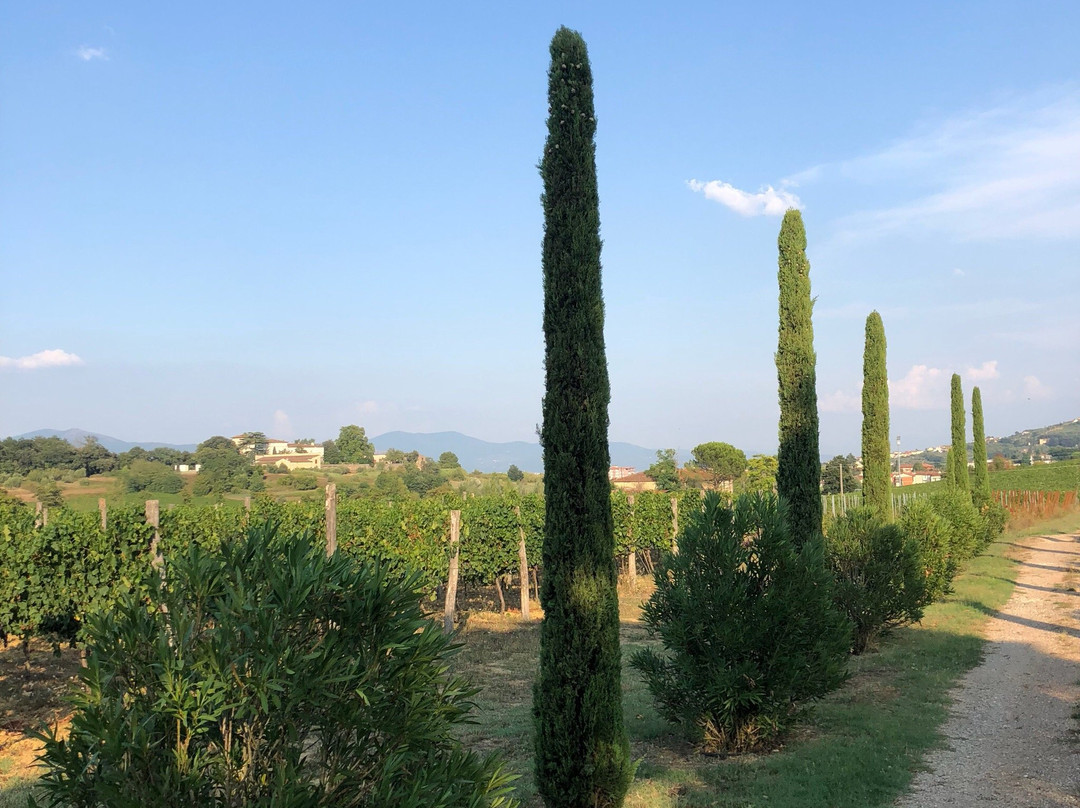 Fattoria Betti-夸拉塔必去景点