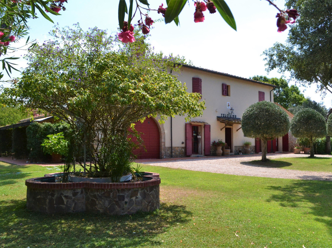 Bolgheri酒店住宿-Relais Felciaino B&B