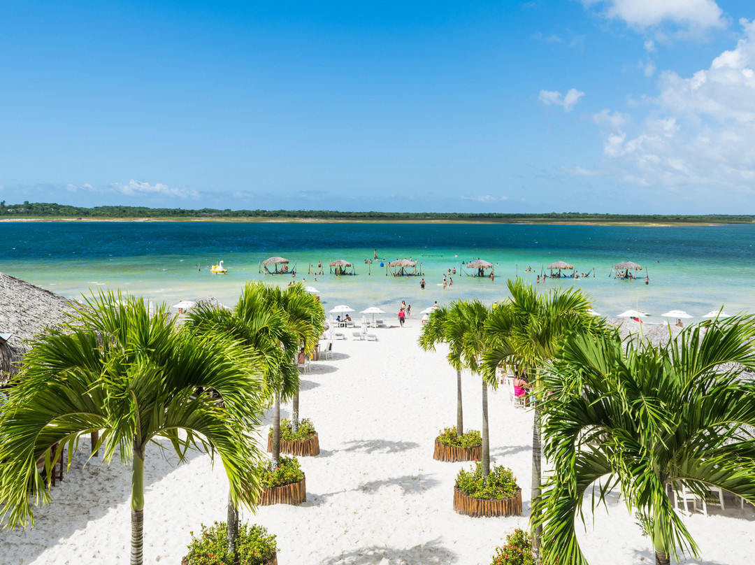 null-杰里科科拉