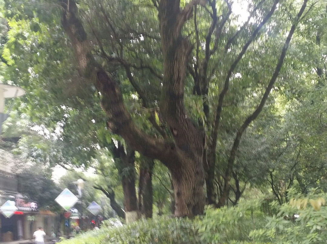 古南门-桂林市必去景点