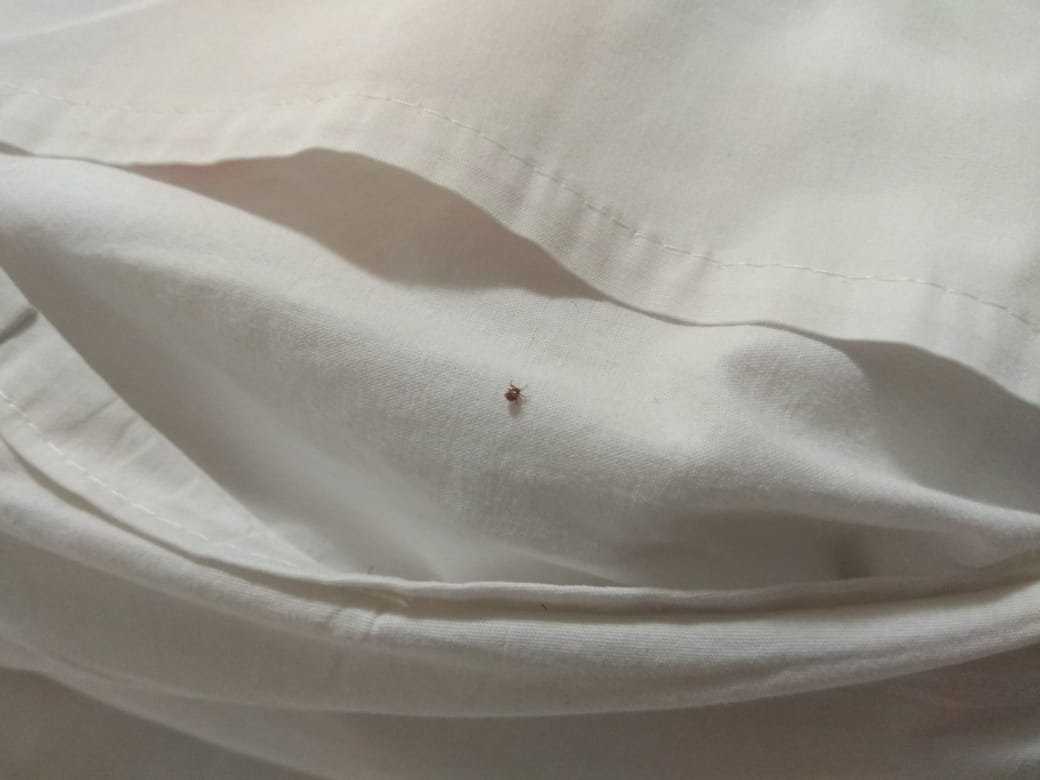 Millian Hotel-官方