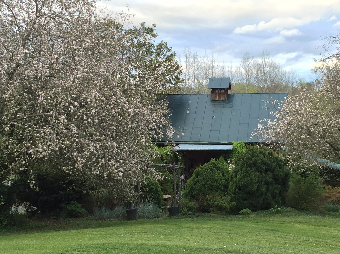 The Barn Swallow Artisan Gallery-夏洛茨维尔必去景点