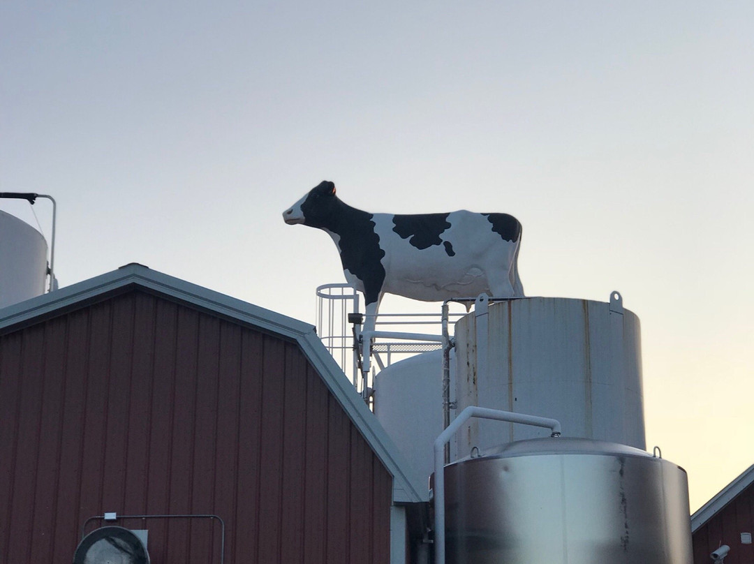 Jilbert Dairy-Marquette必去景点