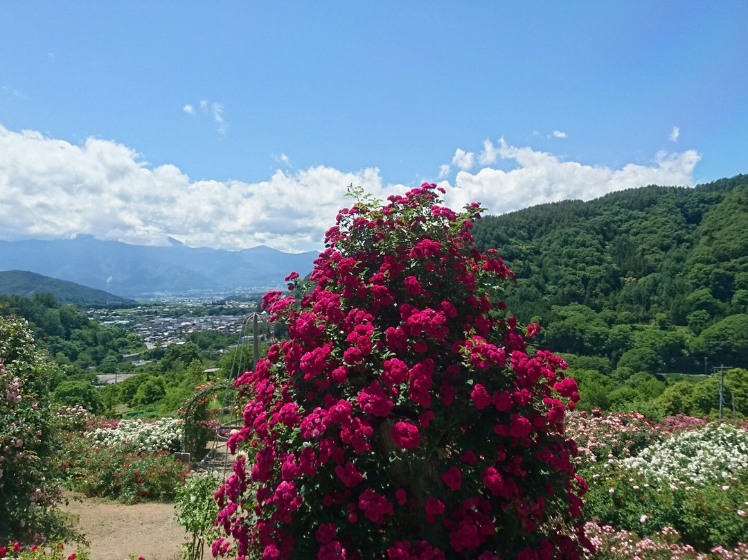 Takato Shinwa no Oka Rose Garden景点图片