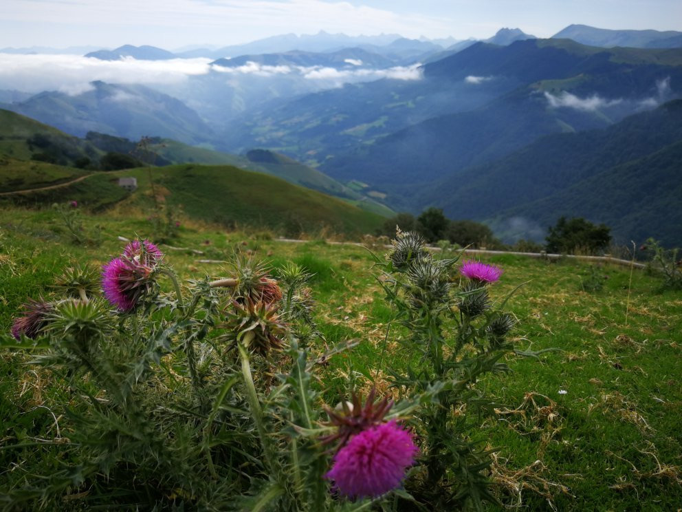 Chalets d'Iraty