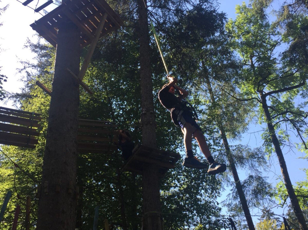 Indiana Parc de Samoens - Indiana'Ventures景点图片