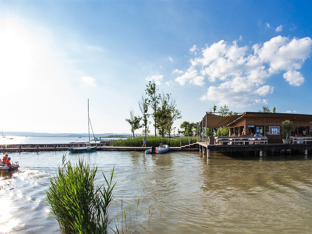 sail.at KREINDL - Segelschule & Yachtcharter-Weiden Am See必去景点
