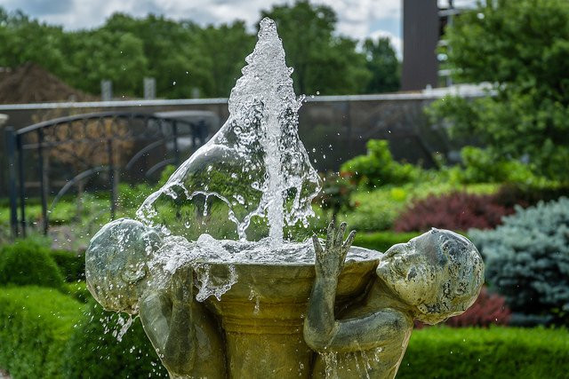 Hamann Rose Garden-林肯必去景点