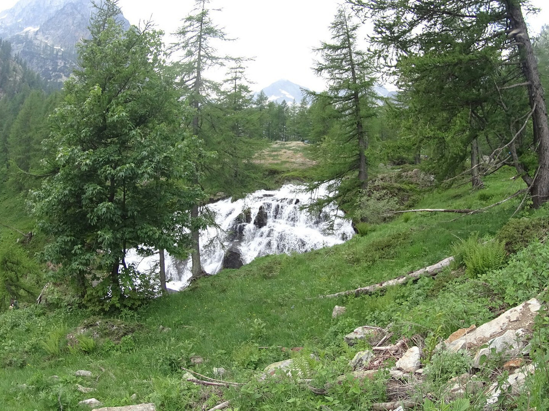 Parco Naturale delle Alpi Marittime-Valdieri必去景点