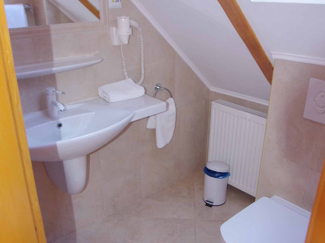 Hotel Casa Wagner Brasov主图