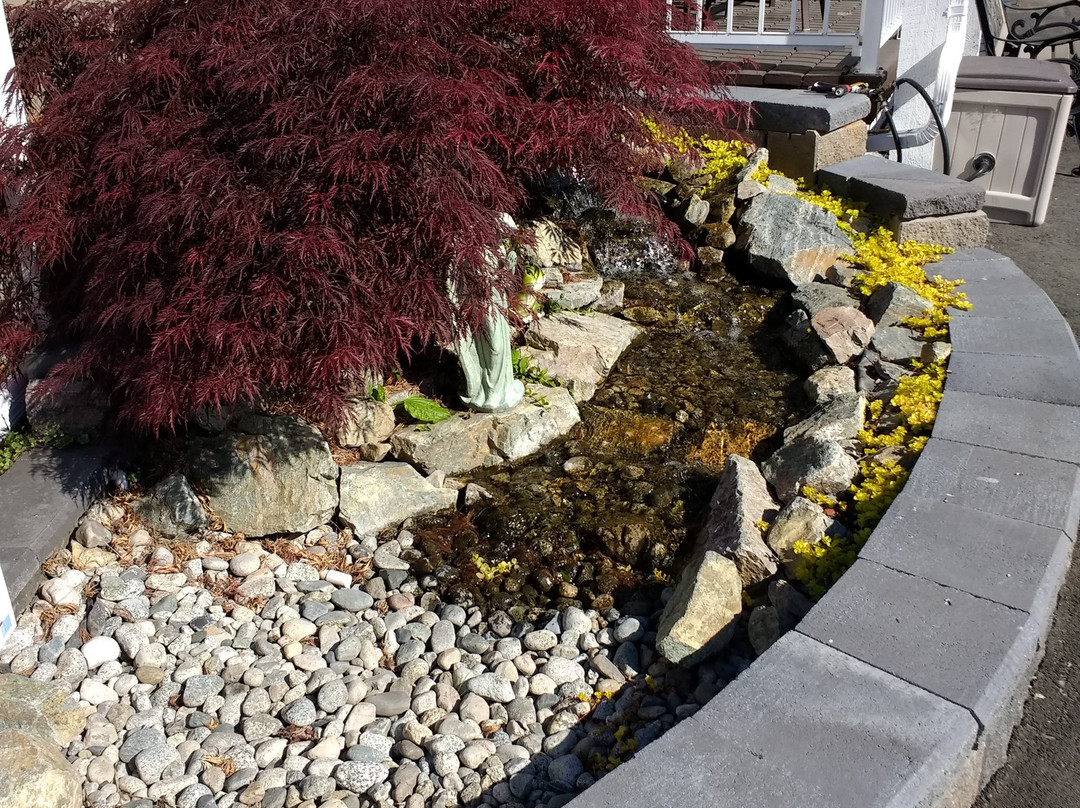 Valley Star Motel主图