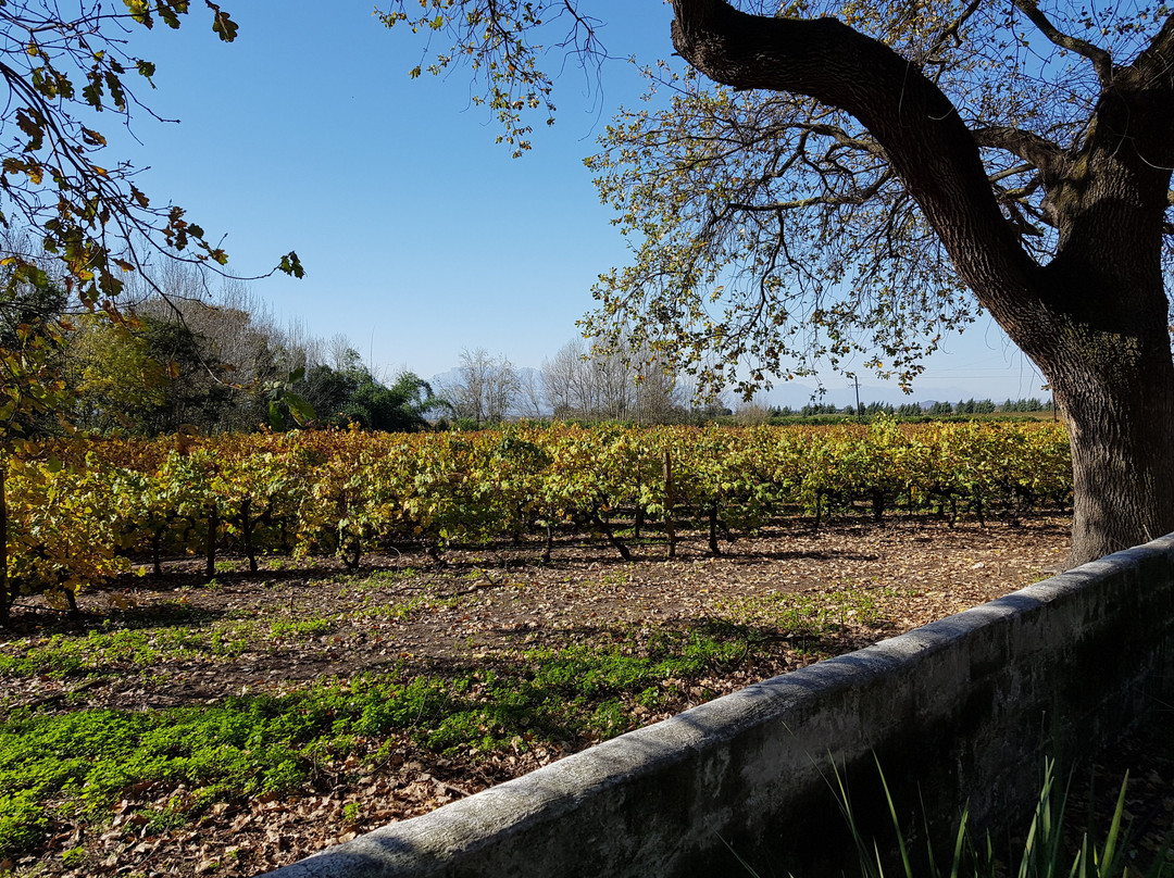 Die Eike Luxury farm Accommodation主图