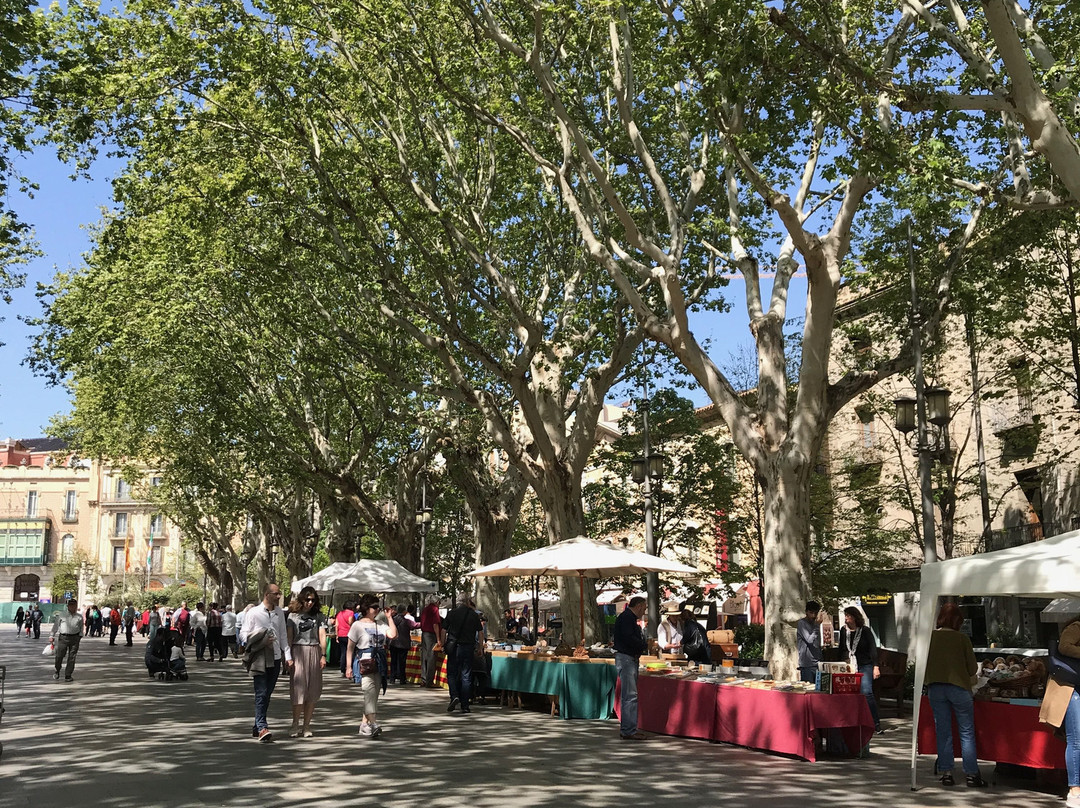 La Rambla de Figueres景点图片