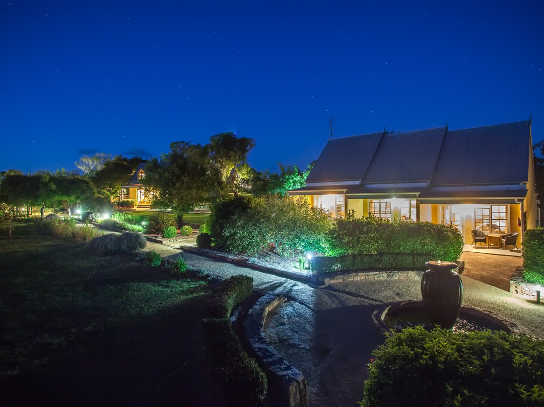 葡萄园咖啡别墅主图