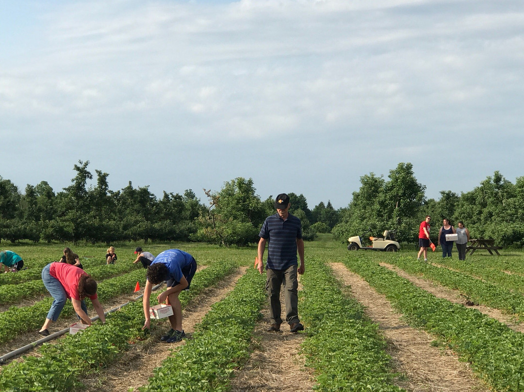 Monroe's Orchard & Farm Market-Hiram必去景点