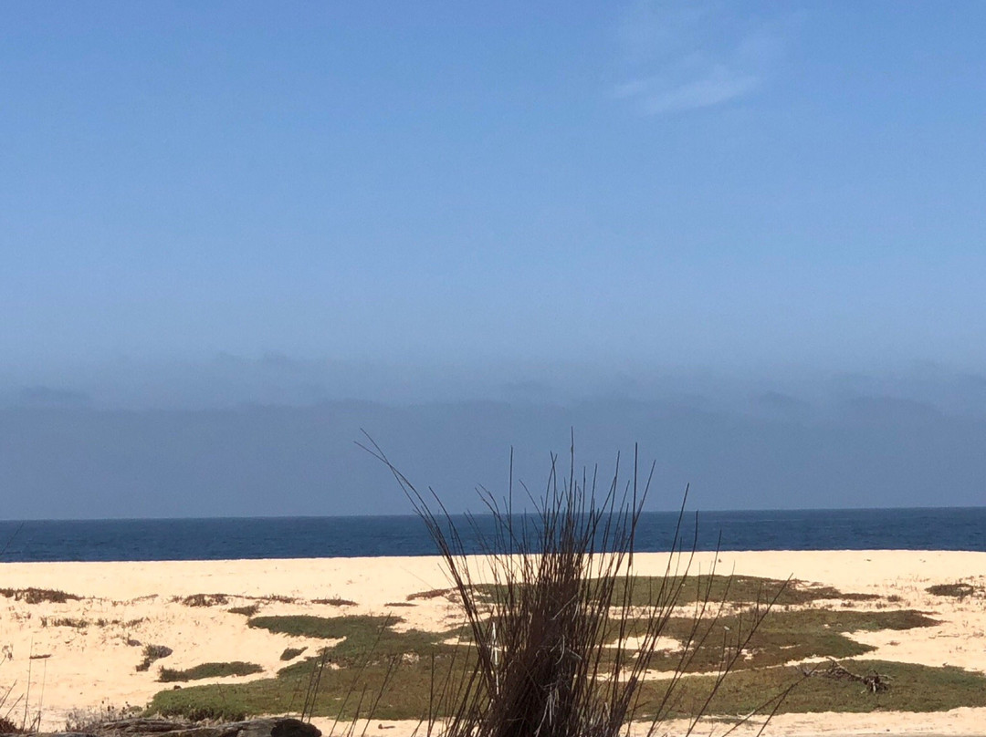 Playa La Cachora-托多斯桑托斯必去景点