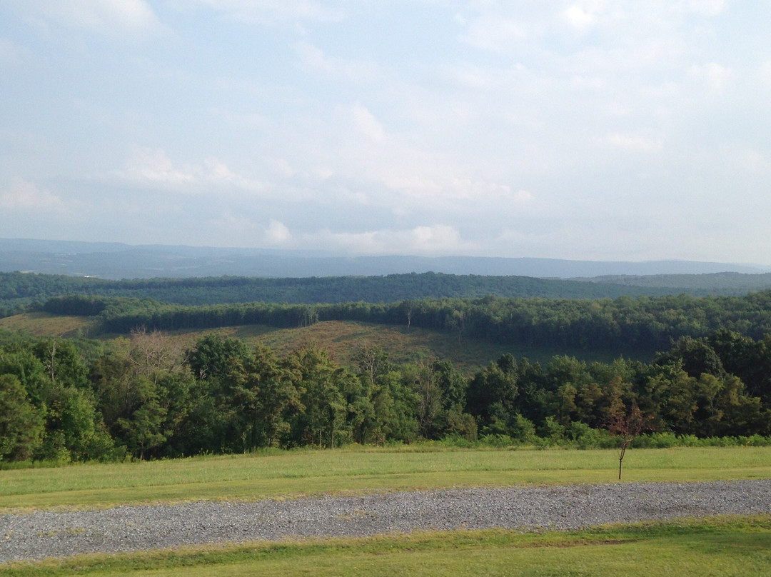 Shanksville旅游攻略图片