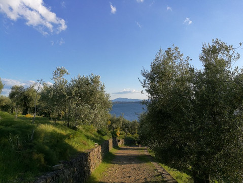 Hotel Da Sauro主图