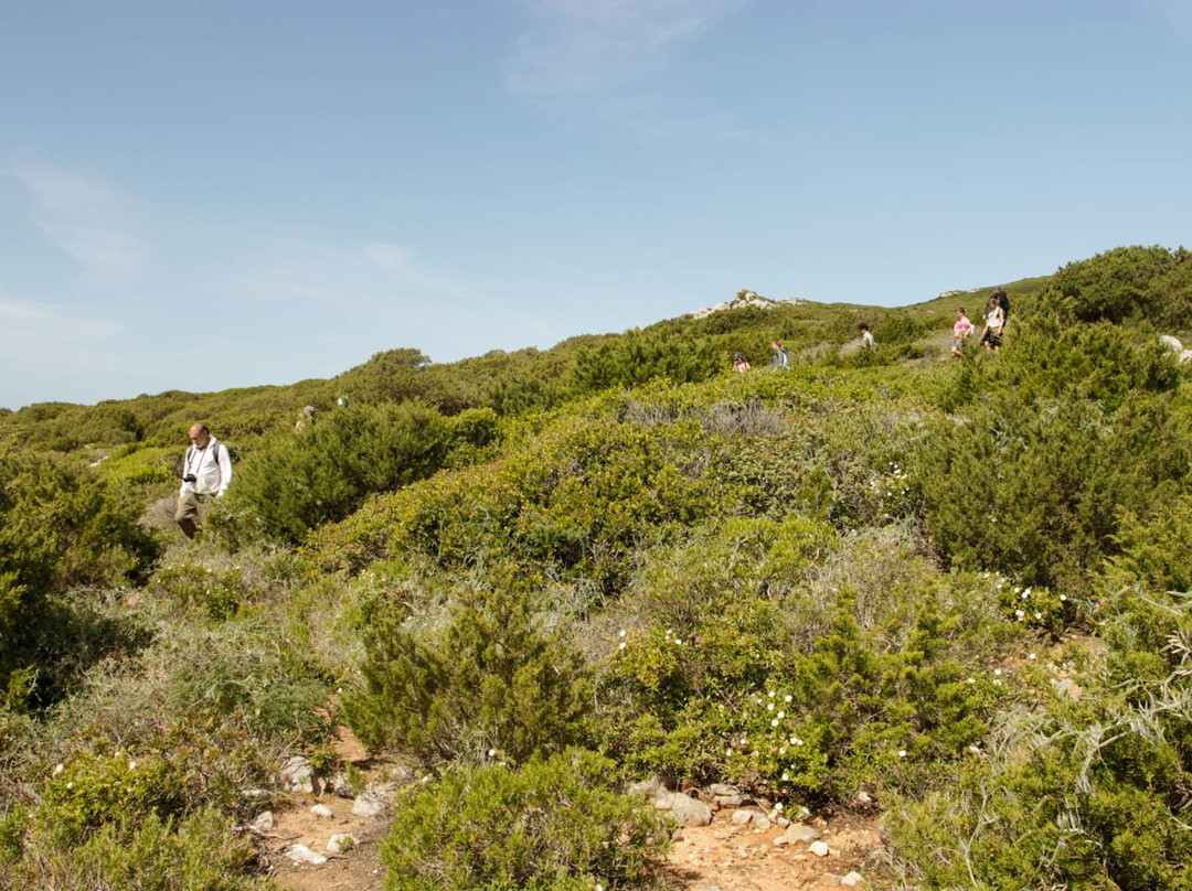 Biotrails-Palmela必去景点