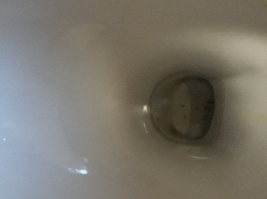 The Rose Cottage主图