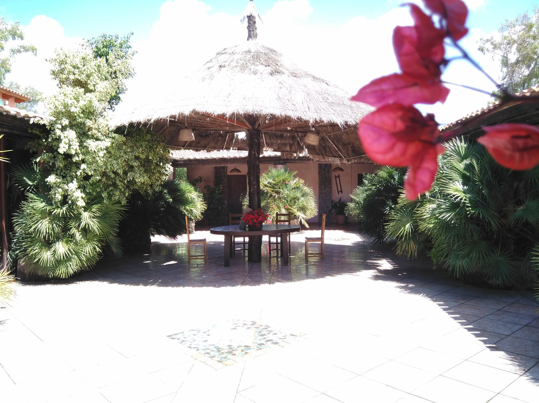 Agriturismo La Mimosa主图