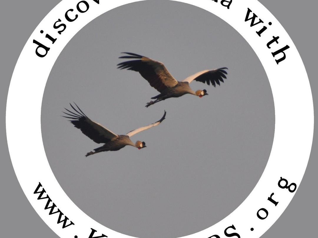 Katotours-Kisoro必去景点