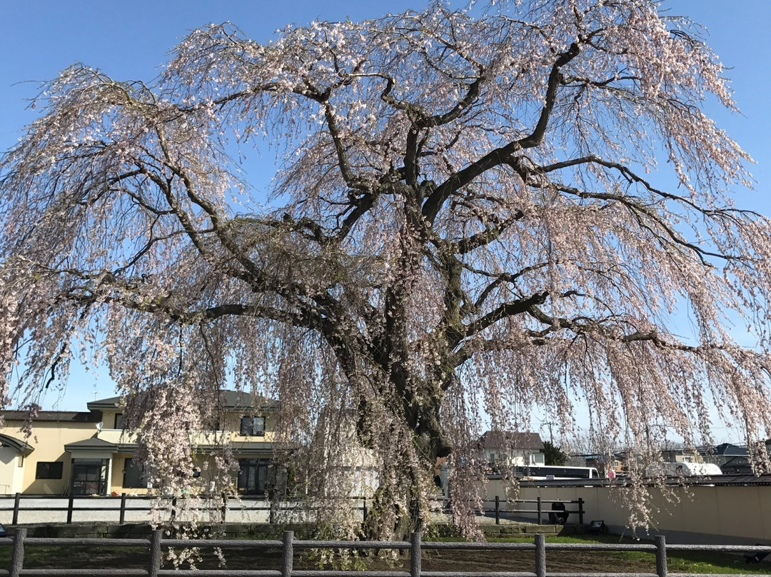 Houkiji Temple-北斗市必去景点