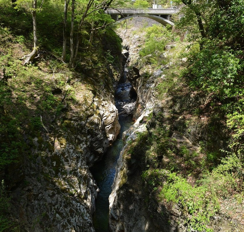 Semi no Keikoku景点图片