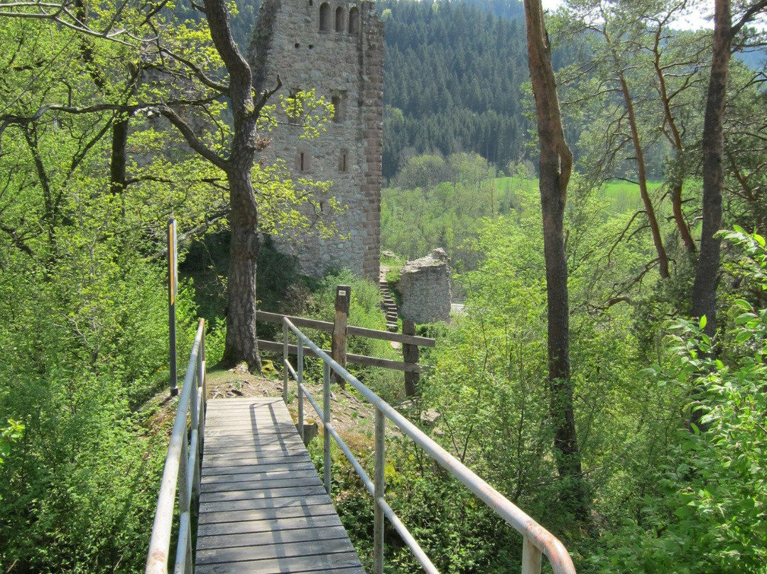 Ruine Schenkenburg景点图片