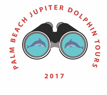 Palm Beach Dolphin Tours-朱庇特必去景点