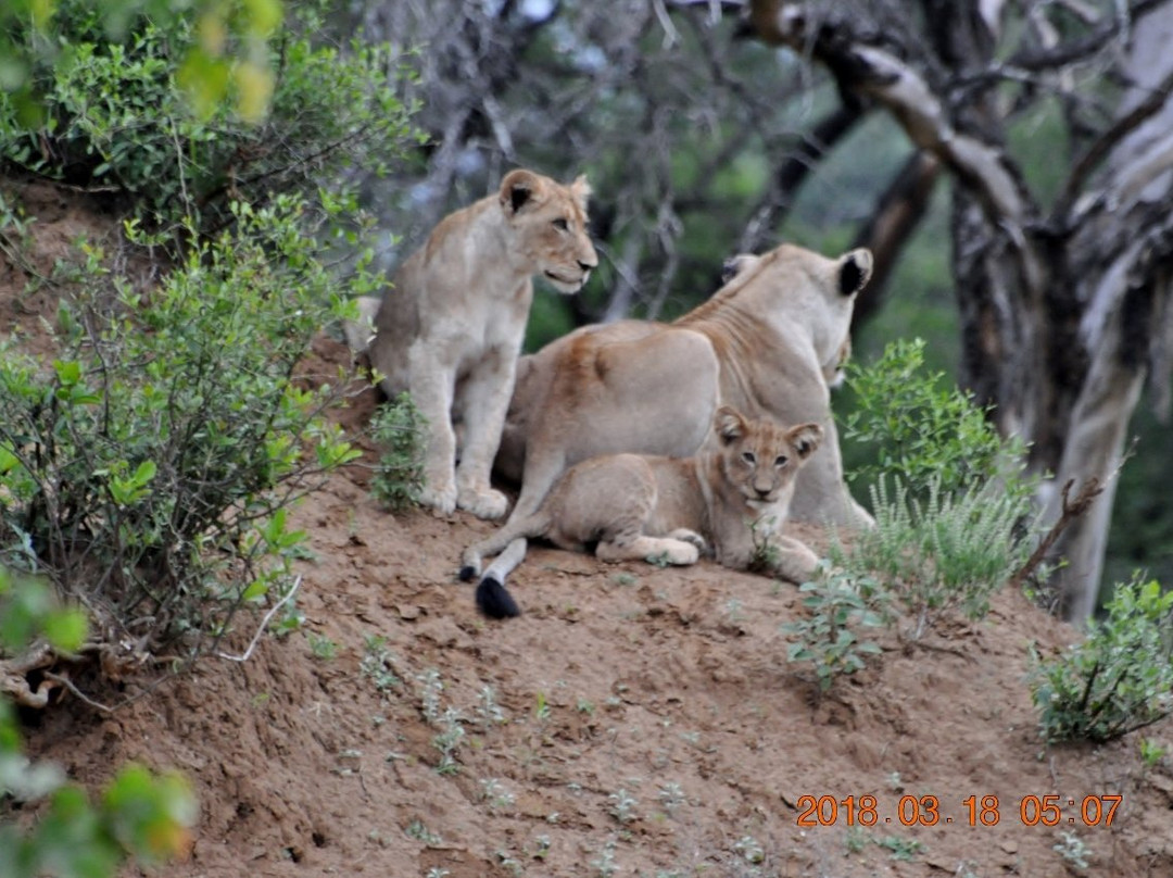 Punda Maria Restcamp主图