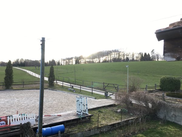 莫里埃旅馆-浴室