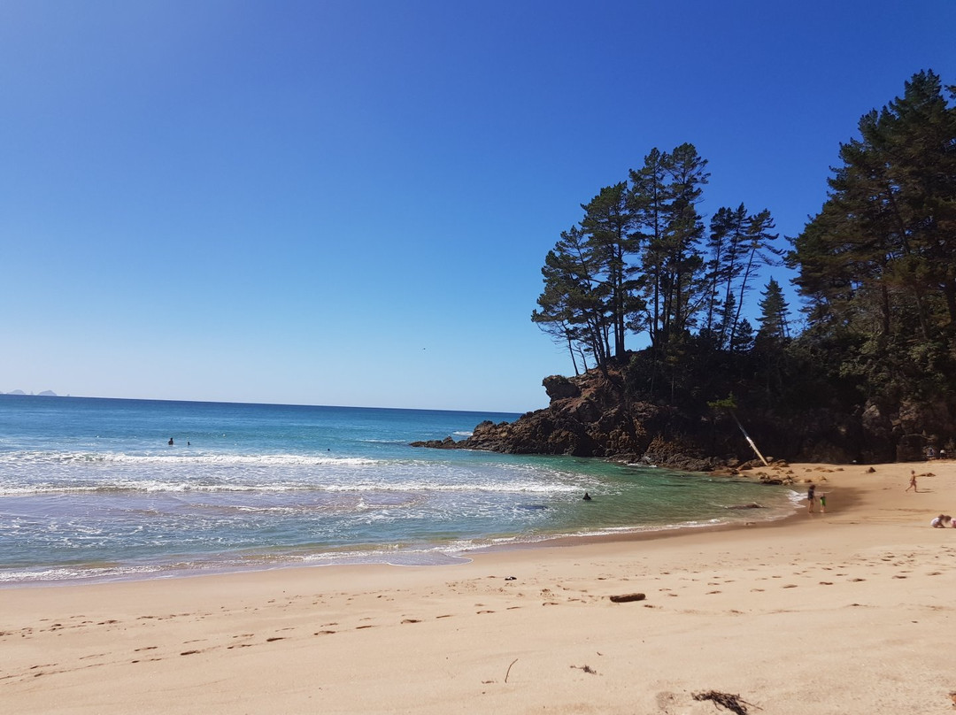Pokohino Beach-科罗曼德必去景点