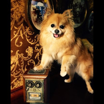 Escape Room Studios-威克瑟姆必去景点