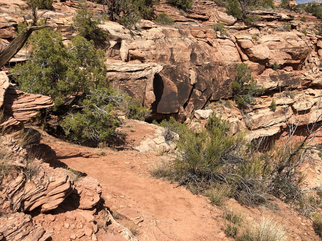 Rattlesnake Canyon-弗鲁塔必去景点