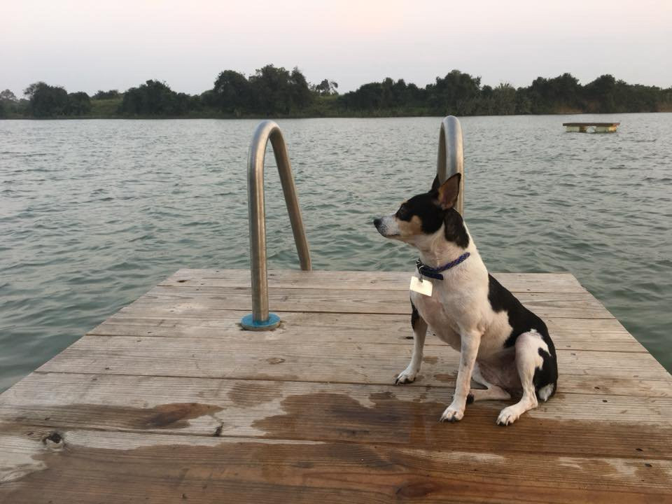 El Huerto Del Bambu主图